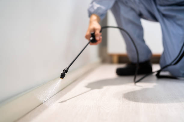 Licensed Cockroach Control service in Rush County County, KS - Nex Pest Control