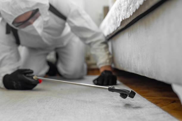 Professional Cockroach Control technician working in Rush County County, KS